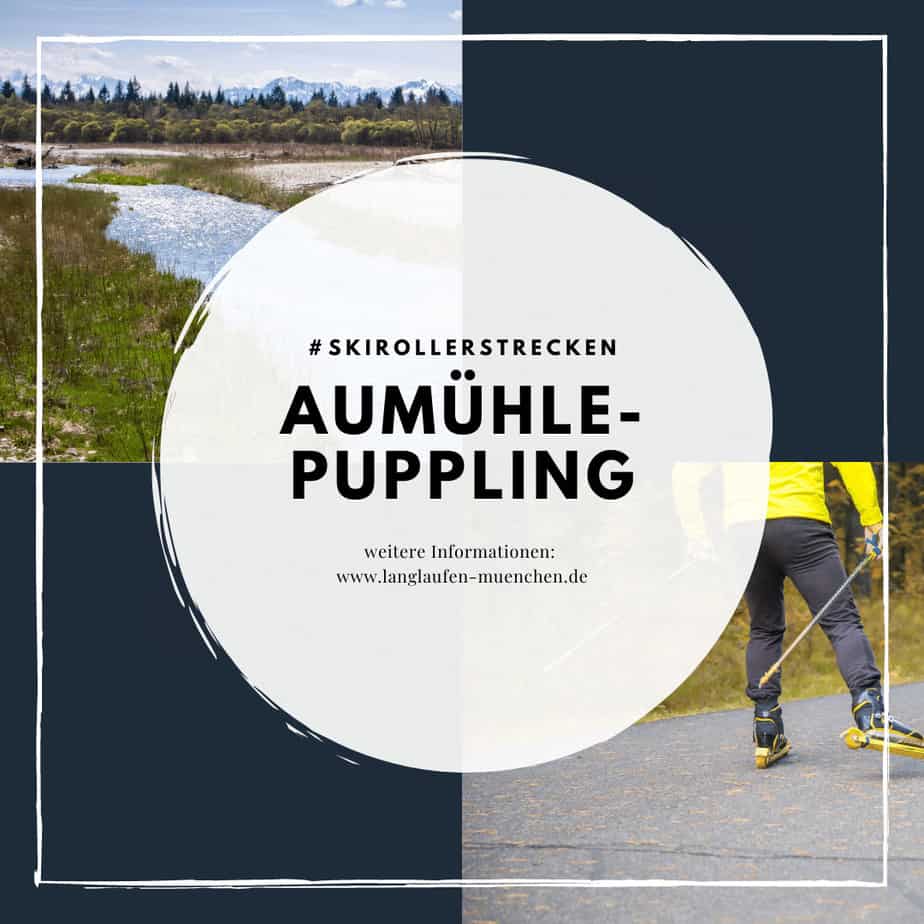 Read more about the article Skirollerstrecke Aumühle – Puppling